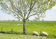 Mönchsweg e.V./MarTiem Fotografie