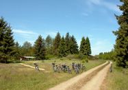Grünes Binnenland