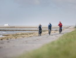 Drei Radfahrerinnen fahren auf einem Weg an der Nordsee entlang. 