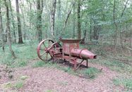 Ranger Frigga Kruse, Naturpark Aukrug e.V.