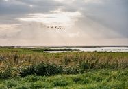 Nordseeküste Nordfriesland | Markus Rohrbacher