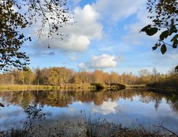 Prinzenmoor mit Flora und Fauna