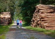 Dithmarschen Tourismus