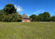 Lynn Scotti I Sylt Marketing