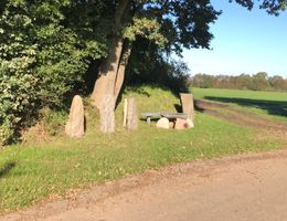 Eine Sitzmöglichkeit im natürlichen Stil befindet sich am Rand eines Feldweges