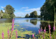 Grünes Binnenland