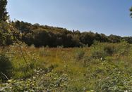 Ostseefjord Schlei GmbH/Christina Matzen