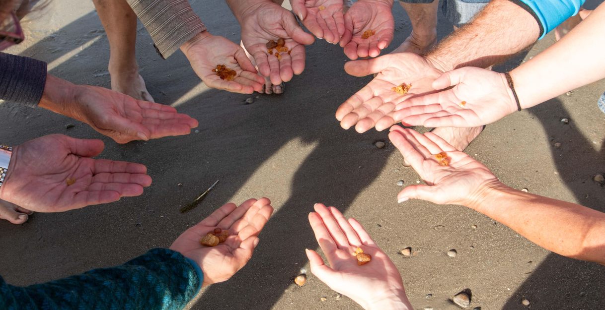 Eine Gruppe von Händen hält kleine Objekte, während sie sich am Strand versammeln. Der Sand und die umgebende Umgebung sind sichtbar.