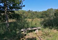 Ostseefjord Schlei GmbH/Christina Matzen