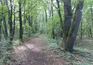 Ranger Frigga Kruse, Naturpark Aukrug e.V.