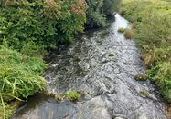 Ranger Frigga Kruse, Naturpark Aukrug e.V.