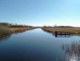 Ein spiegelglatter Fluss gesäumt von trockenem Schilf