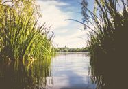 Eutin GmbH Anne Weise