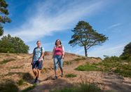 Dithmarschen Tourismus