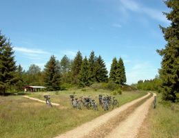 Fahrräder einer Gruppe sind am Wegesrand in einer heidetypischen Landschaft geparkt