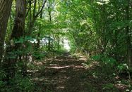 Ostseefjord Schlei GmbH/Christina Matzen