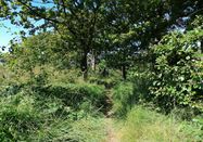 Ostseefjord Schlei GmbH/Christina Matzen