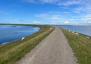 Lynn Scotti I Sylt Marketing