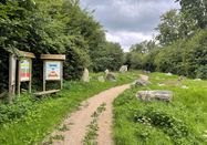Grünes Binnenland