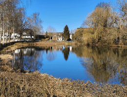 Der Dorfteich der GEmeinde Husby liegt inmitten orange-brauner Herbst-Blätter.