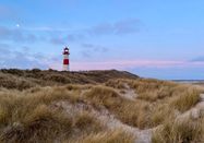 Lynn Scotti I Sylt Marketing GmbH