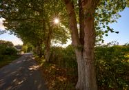 Ostseefjord Schlei GmbH/Stefan Polte