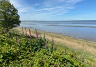 Lynn Scotti I Sylt Marketing