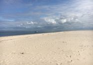 Lynn Scotti, Sylt Marketing GmbH