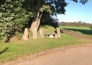 Grünes Binnenland