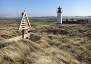 Lynn Scotti I Sylt Marketing GmbH